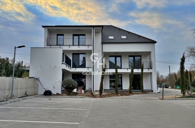 Elad� Lak�s, Nemesv�mos 65.000.000 Ft