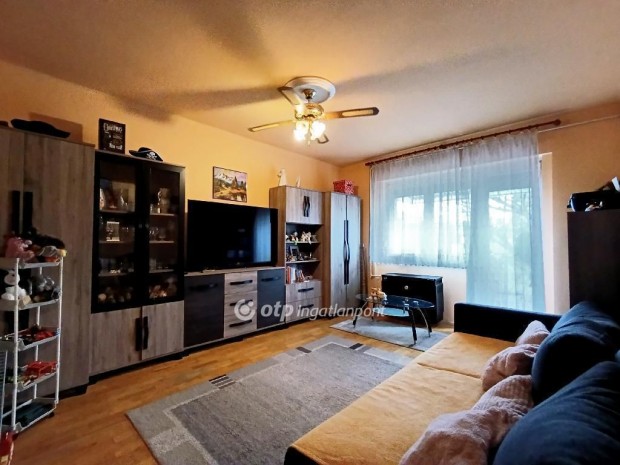Eladó Lakás, Szolnok