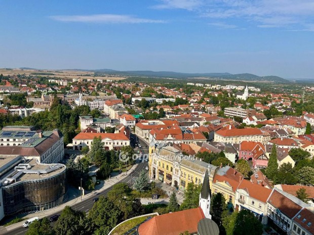 Elad Laks, Veszprm