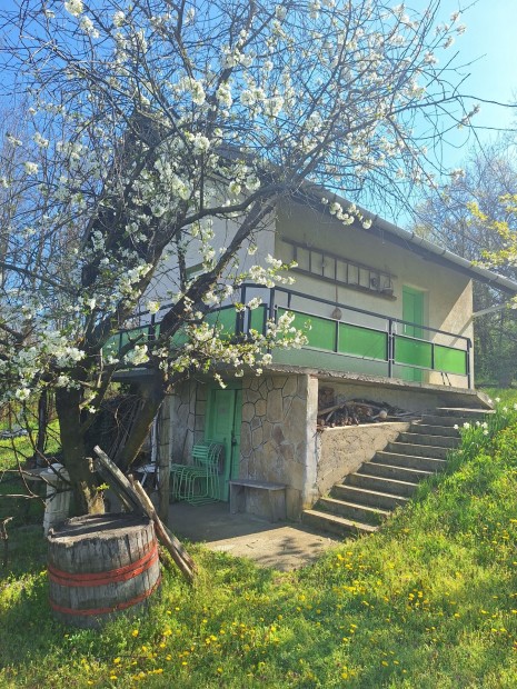 Elad� Mez�gazdas�gi, Als�nemesap�ti 2.700.000 Ft