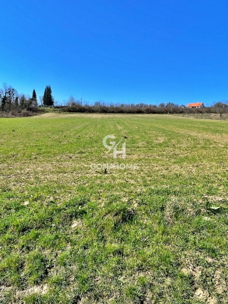 Elad� Mez�gazdas�gi, Balatoncsics� 29.500.000 Ft