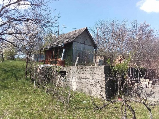 Elad� Mez�gazdas�gi, Balatonf�kaj�r