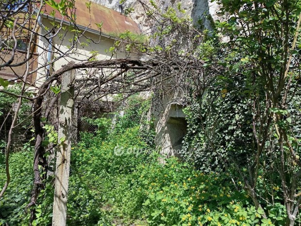 Elad Mezgazdasgi, Eger