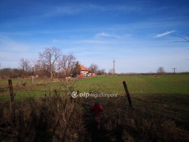 Elad� Mez�gazdas�gi, Kecskem�t