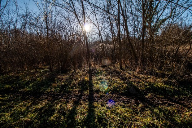 Elad� Mez�gazdas�gi, Kehidakust�ny 4.990.000 Ft