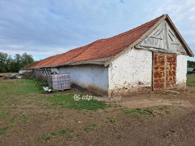 Elad� Mez�gazdas�gi, Kunmadaras