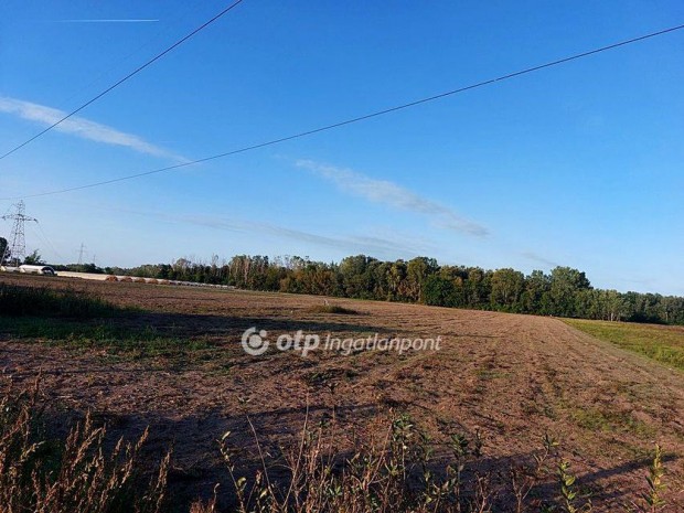 Elad� Mez�gazdas�gi, �pusztaszer