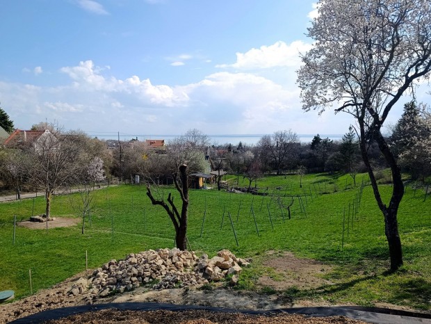 Elad� Mez�gazdas�gi, Paloznak 88.900.000 Ft