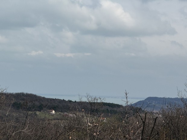 Elad� Mez�gazdas�gi, P�csely 16.000.000 Ft