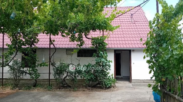 Elad� Mez�gazdas�gi, R�szke