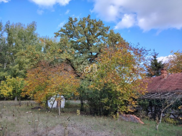 Elad� Mez�gazdas�gi, Ruzsa 5.000.000 Ft