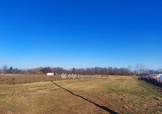 Elad� Mez�gazdas�gi, S�ndorfalva