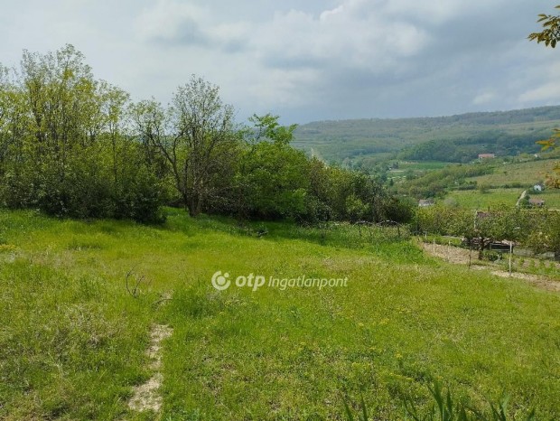 Eladó Mezőgazdasági, Szekszárd
