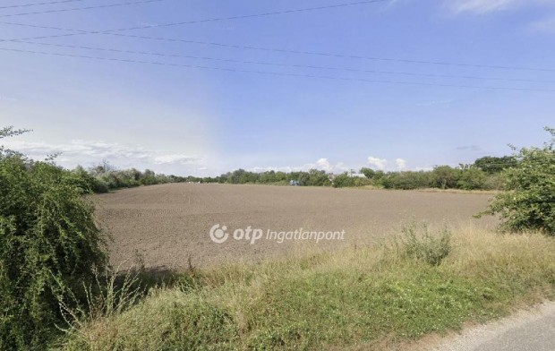 Elad� Mez�gazdas�gi, Szigetszentmikl�s