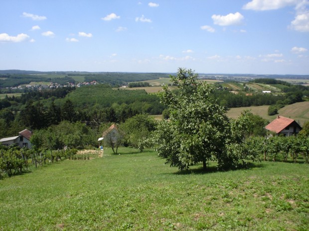 Eladó Mezőgazdasági, Zalaegerszeg 13.900.000 Ft