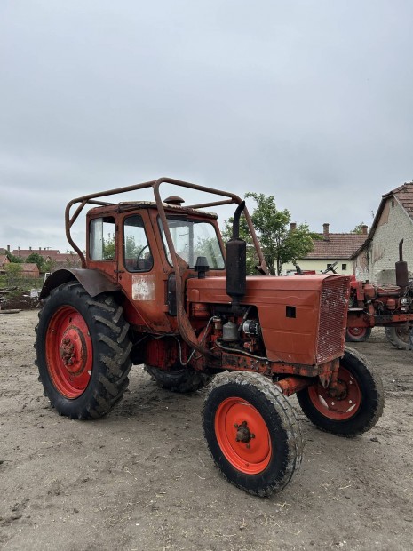 Elad Mtz 50