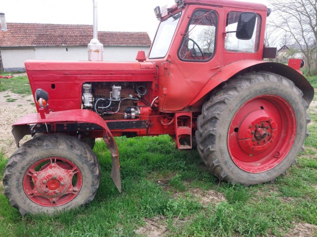 Elad Mtz 52
