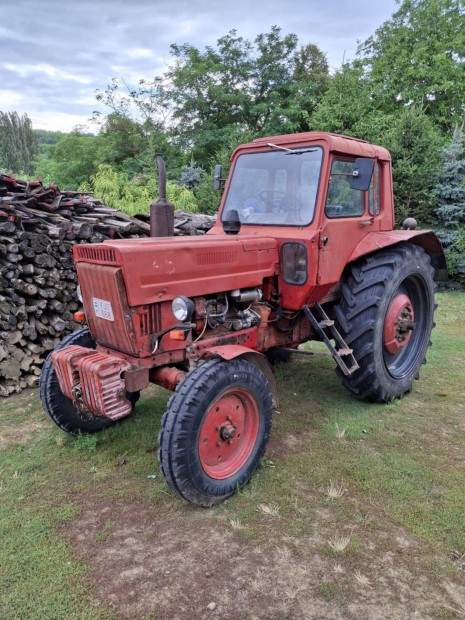 Elad Mtz 80