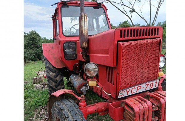 Elad Mtz 80