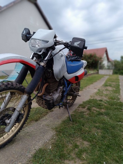 Elad NX 650 Domintor