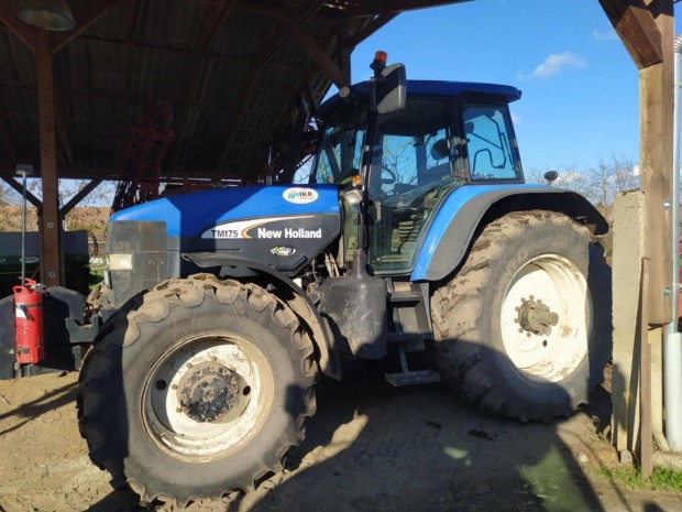 Elad New Holland TM175