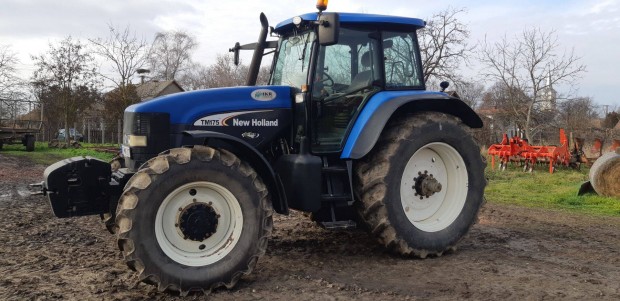 Elad New Holland TM175