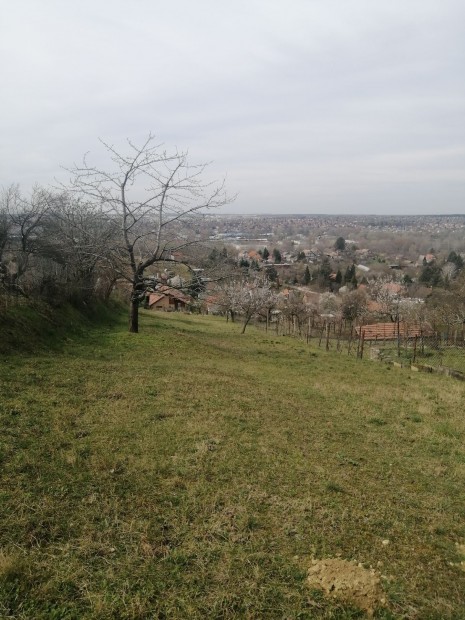 Elad RKPANORMS telek, Tatabnya hegyoldalban