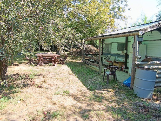 Elad Oroszlnyban, a festi Malom-t kzelben egy kivl