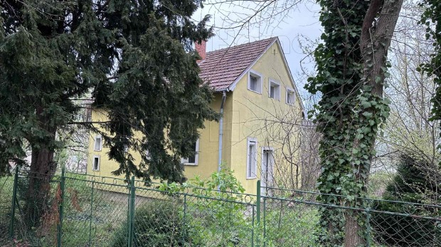 Elad PANORMS, BALATONGYRKI CSALDI HZ.