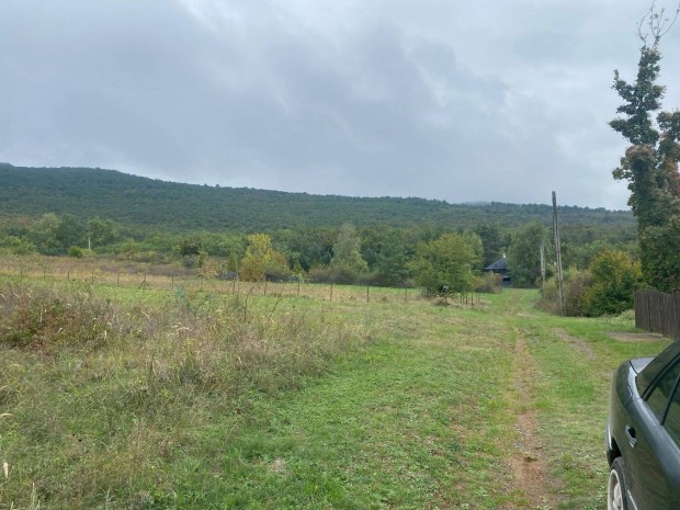 Elad Panorms telek Szurdokpspki (Almskert)