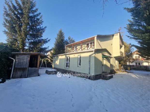 Elad� Panzi�, S�rospatak