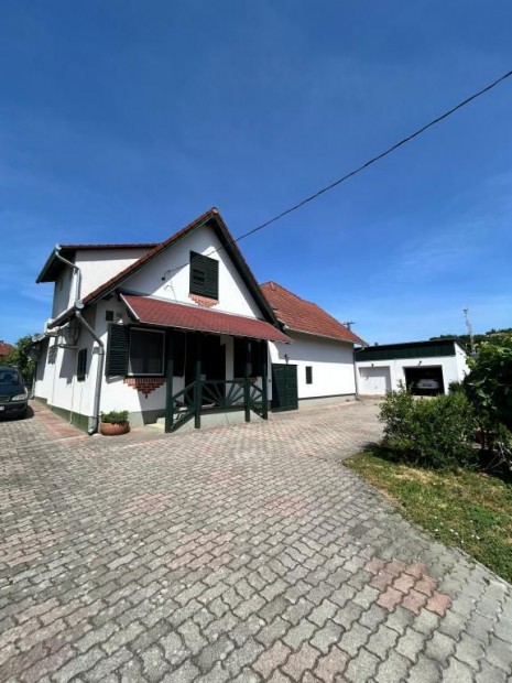 Elad� Panzi�, Vill�ny