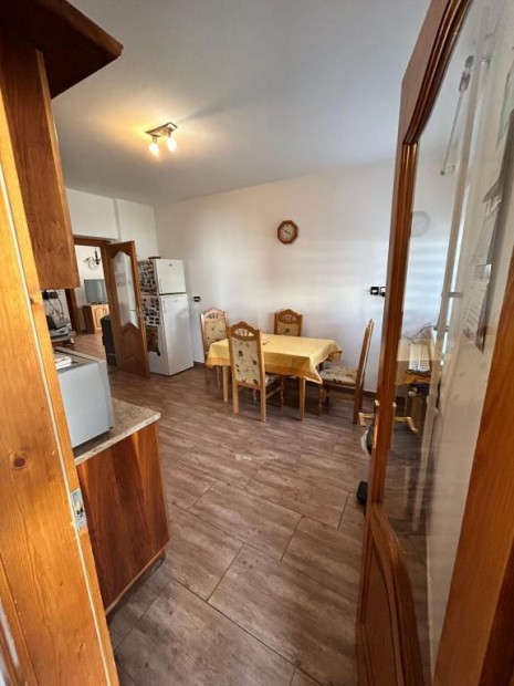 Elad� Panzi�, Vill�ny