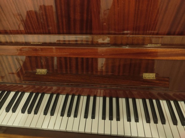 Elad Pianino
