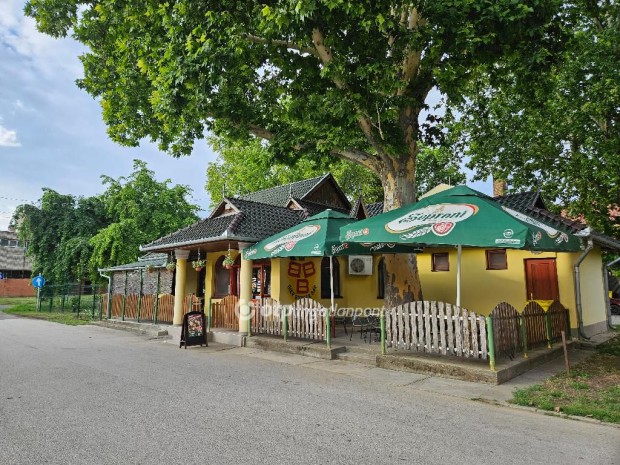 Elad Pub, Mezkovcshza