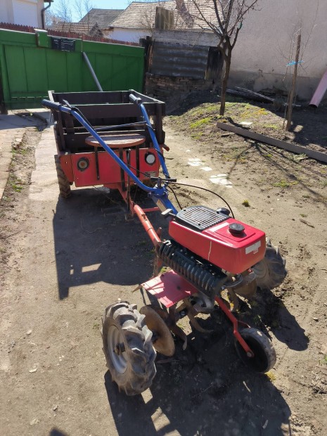 Elad Robi 55 utnfutval