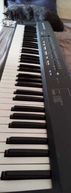 Elad Roland A-30 Master keyboard