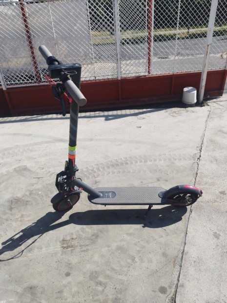 Elad Roller 