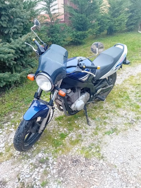 Elad Suzuki GS 500 E