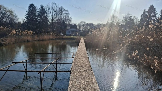 Elad� Szajolban k�zvetlen v�zparti t�lies�tett k�nny�szerkezetes h�z