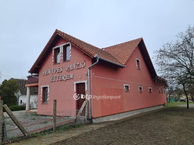 Eladó Szálloda, Ágasegyháza