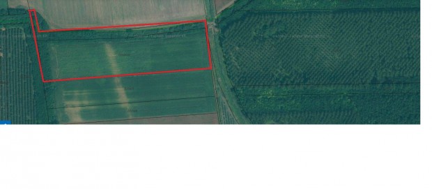 Elad� Sz�nt� S�ny�n