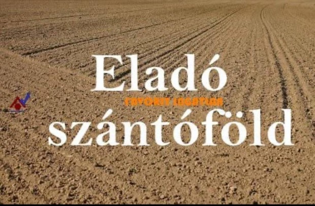 Elad Szntfld