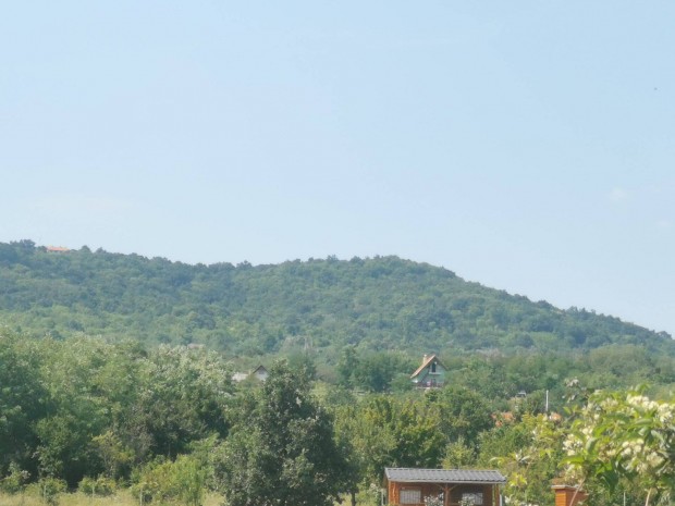 Elad Szentendrn klterleten rkpanorms telek