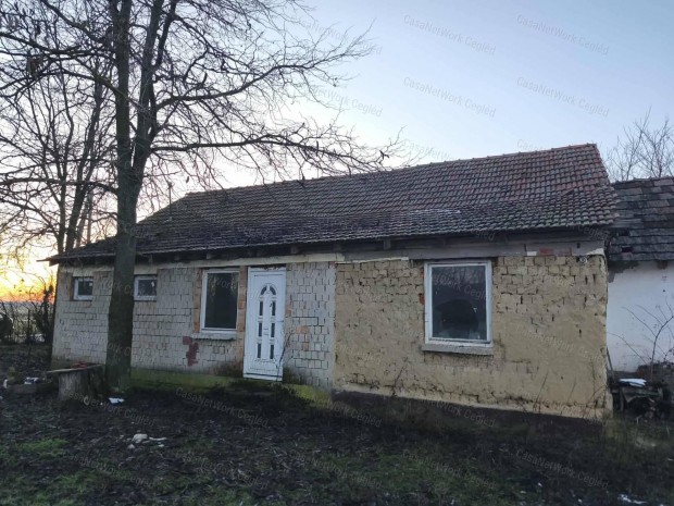 Elad� Tanya T�pi�szele fel�j�t�sra szorul�