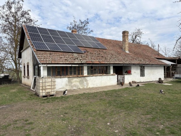 Elad� Tanya - H�dmez�v�s�rhely