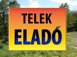 Elad Telek Baja