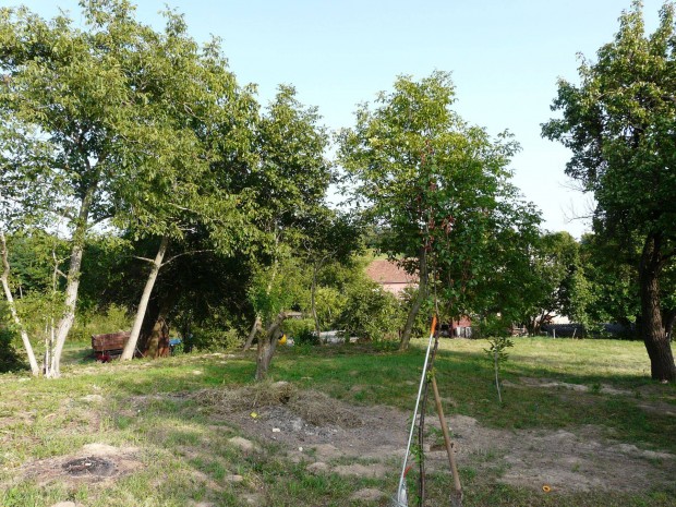 Eladó Telek Tinnyén Kiváló Befektetés, KÉSZ Infrastruktúrával!