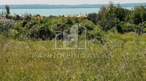 Elad� Telek, Als��rs 65.000.000 Ft