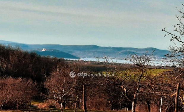 Elad Telek, Balatonendrd